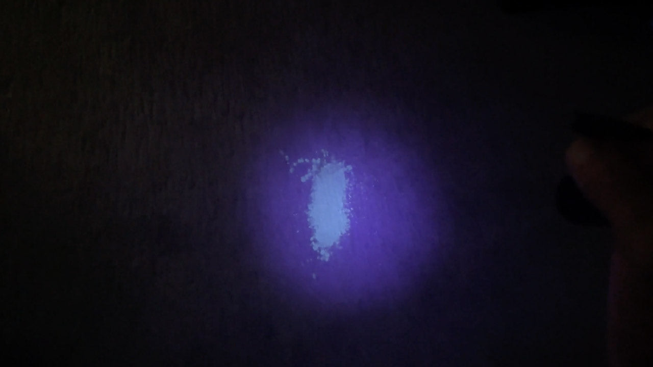 Using the StainScout to Find Pet Urine & Messes